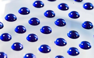 Certified reference microorganisms Vitroids and Lenticule discs Microbiology Standards