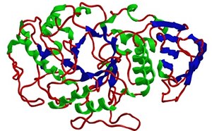 Large Molecule HPLC Large molecule HPLC