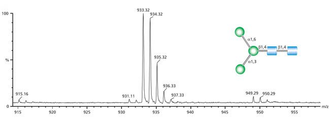 Mass spectrum (relative abundance vs. m/z ratio) of Man-3 glycan showing molecular ion peak, base peak, and fragmentation peaks Mass spectrum (relative abundance vs. m/z ratio) of Man-3 glycan showing molecular ion peak, base peak, and fragmentation peaks