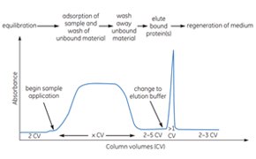 Sample Purification Sample Purification