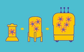Bioreactor fed batch or perfusion mode Bioreactor (Fed Batched or Perfusion Mode)