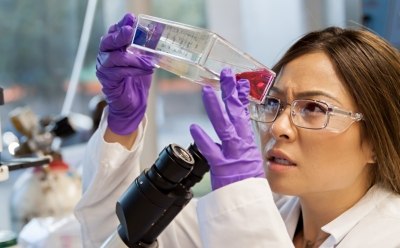 Scientist looking at cells in a flask Scientist looking at cells in a flask