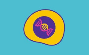 Cell lines and expression technologies Illustration featuring a stylized cell with a DNA helix in the center, surrounded by a purple circle and yellow ring, against a teal background. Below is the text ‘Cell Lines & Expression Technologies.