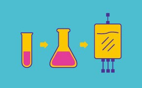 Expansion cryopreservation Expansion & Cryopreservation