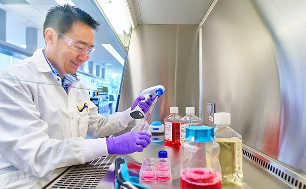Scientist Performing Cell Culture Cell Culture Analysis