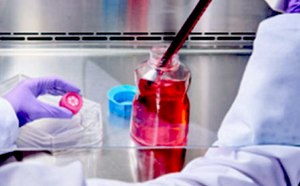 Mammalian Cell Culture Mammalian Cell Culture
