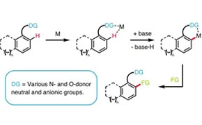 C-H Functionalization C-H Functionalization