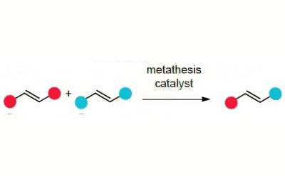 Cross Metathesis Cross metathesis brings two olefins together in an intermolecular reaction to give an olefin product bearing substituent from each of the starting olefins.