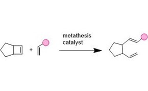 Metathesis Metathesis