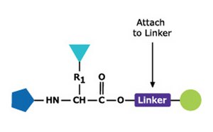 Peptide Synthesis Peptide Synthesis