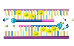 qPCR qPCR