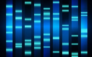 Nucleic Acid Gel Electrophoresis Nucleic Acid Gel Electrophoresis