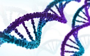 Colorful strands of DNA.