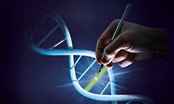 Advanced Gene Editing Advanced Gene Editing