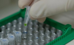 PCR Applications PCR Applications