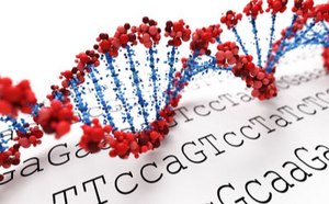 Next Gen Sequencing Next Gen Sequencing