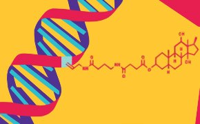 Nucleic Acid Labeling & Detection Nucleic Acid Labeling & Detection