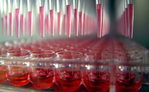 Functional Genomics Screening Functional Genomics Screening