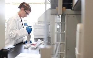 Purple glove and pipette