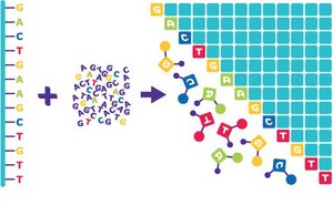 Sequencing Sequencing