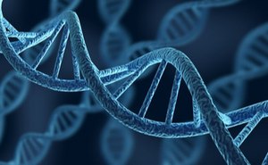DNA & RNA Purification DNA & RNA Purification