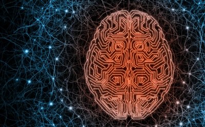 Brain illustrated as electronic chip surrounded by neural system to illustrate combination of state-of-the-art technology with bio-organisms. Brain illustrated as electronic chip surrounded by neural system to illustrate combination of state-of-the-art technology with bio-organisms.