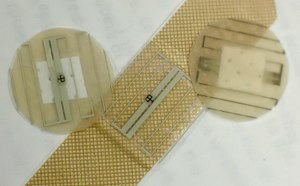 Biosensors & Bioimaging Biosensors & Bioimaging