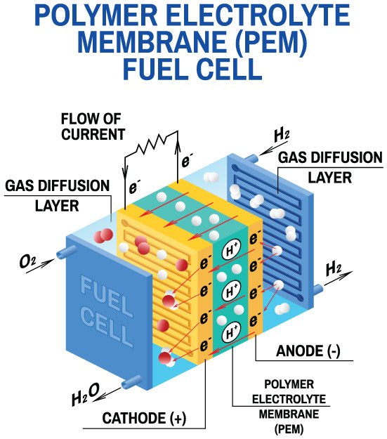 Illustration d'une pile &agrave; combustible PEM montrant comment l'&eacute;nergie chimique est convertie en &eacute;nergie &eacute;lectrique en utilisant de l'hydrog&egrave;ne gazeux et de l'oxyg&egrave;ne gazeux comme combustible.