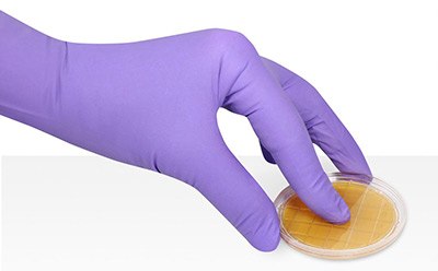 ICR and ICR plus contact plates for microbial surface monitoring in isolators and critical cleanrooms 접촉 플레이트를 이용한 미생물 표면 및 직원 모니터링