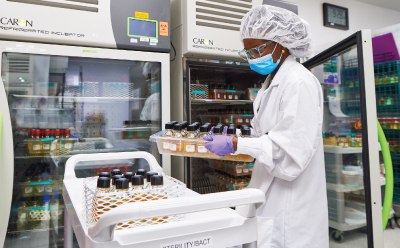 A person in a lab coat and protective gear handling bottles of chemicals in a well-organized laboratory A person in a lab coat and protective gear handling bottles of chemicals in a well-organized laboratory