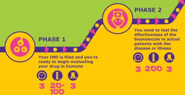 EB_Ecosystem_Graphic_FNL2 Infographic of Phase I-II biomolecule evaluation stages, including timelines and process requirements