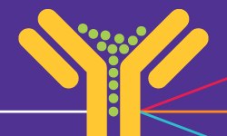 Principles of Flow Cytometry Flow cytometry introduction
