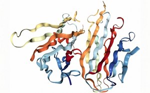Protein Structural Analysis This image appears to be a 3D model of a complex protein structure. The protein consists of multiple intertwined and folded strands, each colored differently to distinguish the various parts.