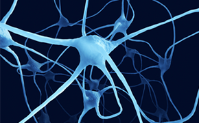 Nerve cells An intricate illustration of neurons, depicted in light blue against a dark blue background, highlighting the complex communication system of the brain with branching dendrites and interconnected neuron bodies.