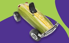 Innovations for crop science model race car made from ear of corn