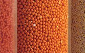 LPLC packed columns with different media for specific chromatography applications LPLC packed columns with different media for specific chromatography applications