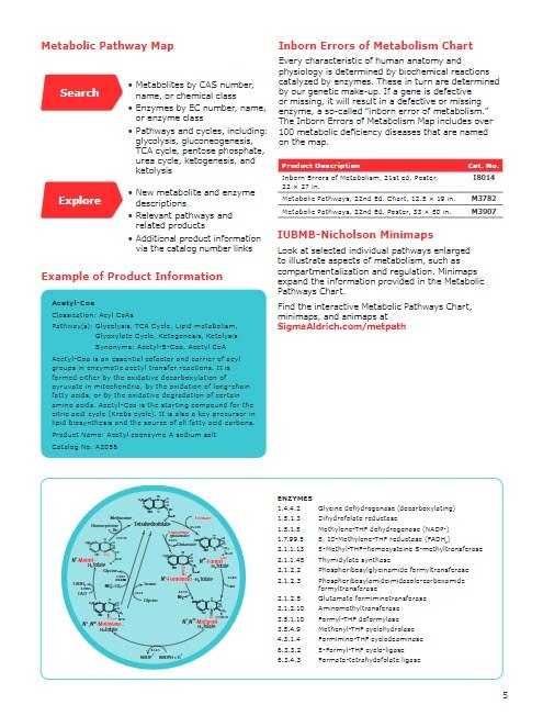 Metabolomic Discovery Brochure Page 5 Metabolomic Discovery Brochure Page 5