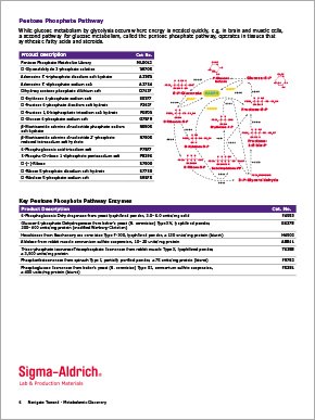 Metabolomics brochure page 6 Metabolomic Discovery Brochure Page 6