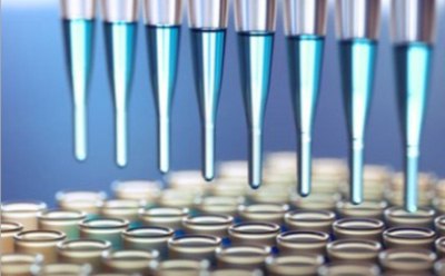 High-Throughput Screening Libraries High-Throughput Screening Libraries