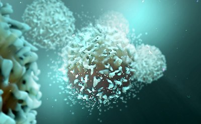 Preclinical Safety Testing Preclinical Safety Testing