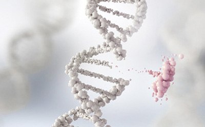 Target Discovery Target Discovery