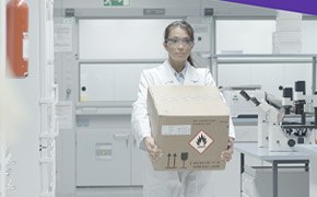 safety in the laboratory
