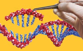 CRISPR 실험의 이해, 설계 및 실행, gRNA 디자인, Cas9 포맷 선택, CRISPR 스크리닝, advanced CRISPR 포맷을 사용하는 방법 등을 확인하세요.