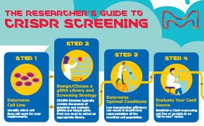 CRISPR 스크리닝 인포그래픽 다운로드