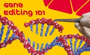Gene Editing 101 Book Gene Editing 101 Book
