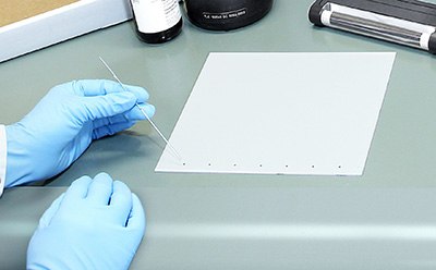 Thin Layer Chromatography (TLC) A person wearing blue latex gloves, suggesting the handling of materials that require precision or a sterile environment.