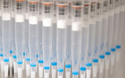 Automated SPE DPX Tips HybridSPE® DPX tips provides an INTip solution for complete sample preparation.