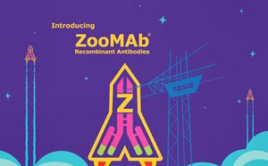ZooMAb Antibodies