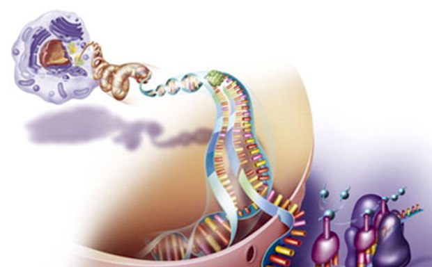 The image is a vibrant illustration of DNA replication. It shows a DNA molecule unwinding, with enzymes aiding in the separation of strands. The image is a vibrant illustration of DNA replication. It shows a DNA molecule unwinding, with enzymes aiding in the separation of strands.