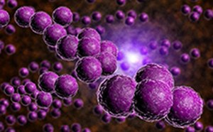 Antibiotics The image shows a cluster of spherical purple objects that resemble cells or particles. They have a textured surface and are set against a dark background with a subtle glow.
